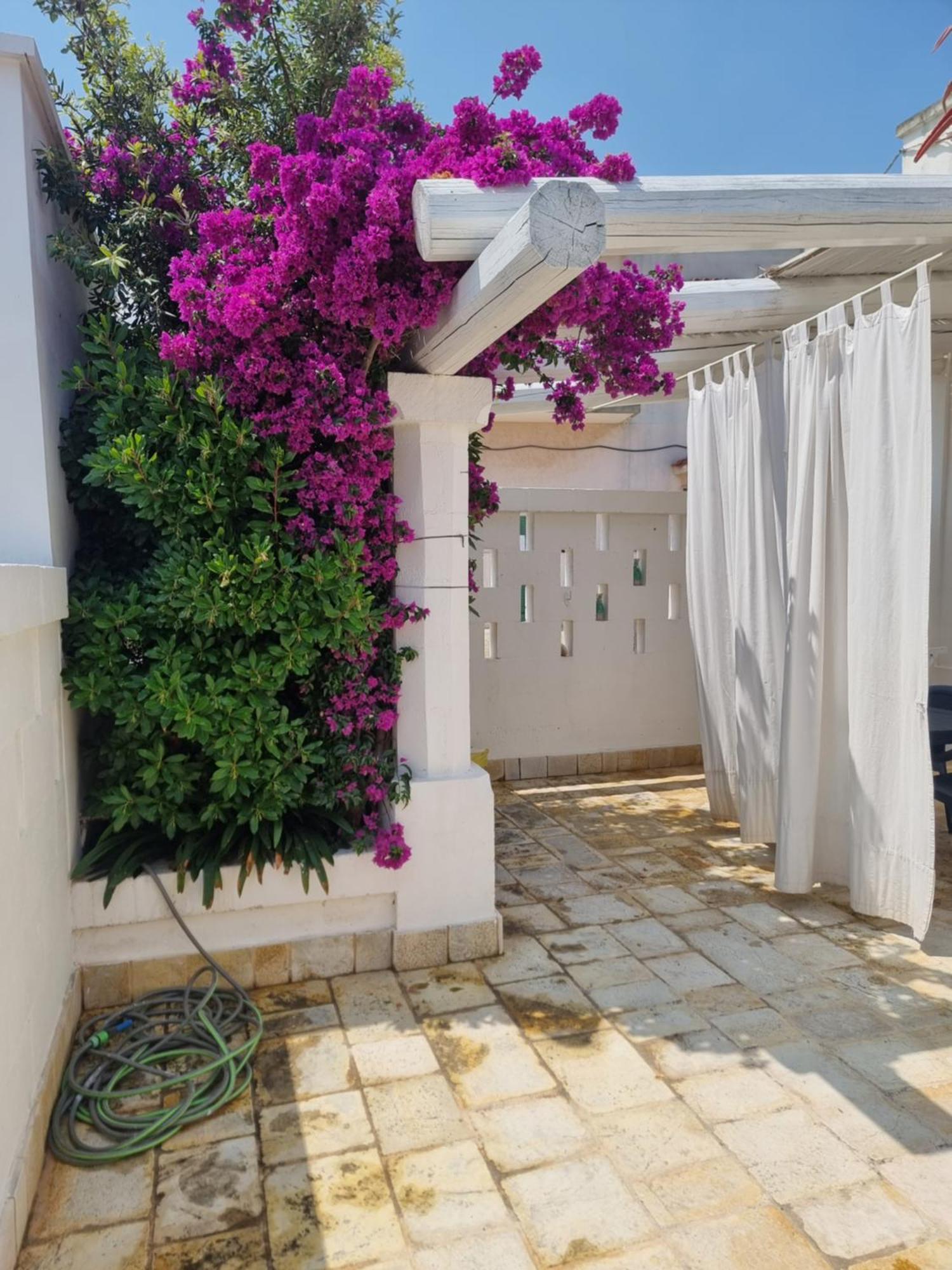Apartmán Villini Di Sant'Andreas Monopoli Exteriér fotografie
